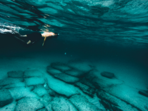 Eco-Friendly Snorkeling Tips
