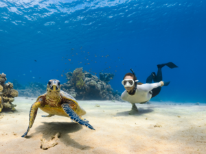Game Changing Snorkel Masks Our Top Picks