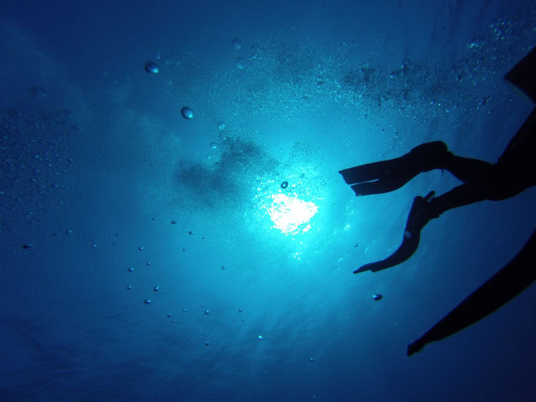 Snorkel Safely and Enjoy the Water