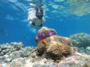 Snorkeling Etiquette Respect Marine Life