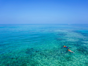 Snorkeling Safety Tips: Stay Calm in Tough Situations