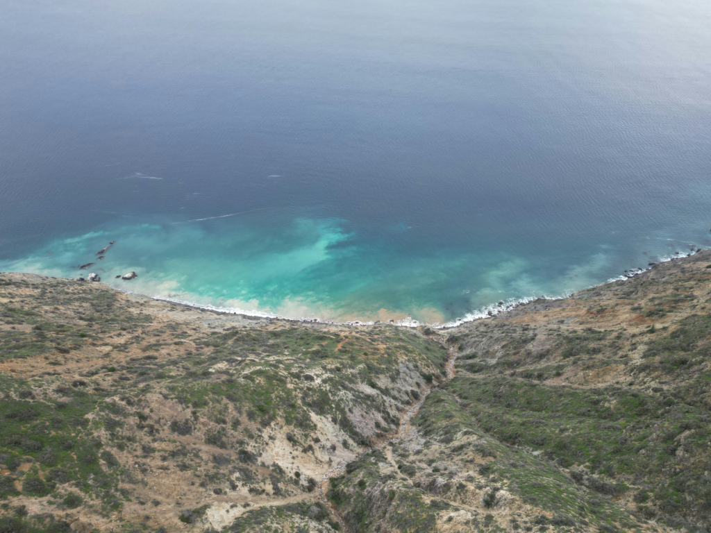 Snorkeling in Catalina Island