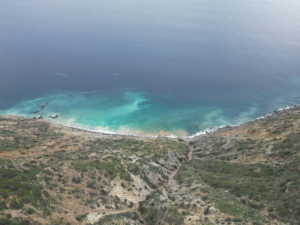 Snorkeling in Catalina Island