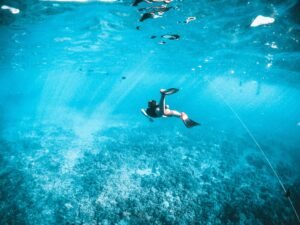 Tips for Spotting Marine Life While Snorkeling