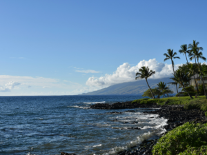 snorkeling in Maui - snorkel seeker